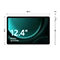 تبلت سامسونگ مدل Galaxy Tab S9 FE PLUS 5G SM-X616B ظرفیت256 گیگابایت رم 12 گیگابایت